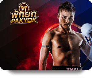 Betflix เว็บหลัก เสนอโปรโมชั่นพิเศษสำหรับสมาชิกใหม่!